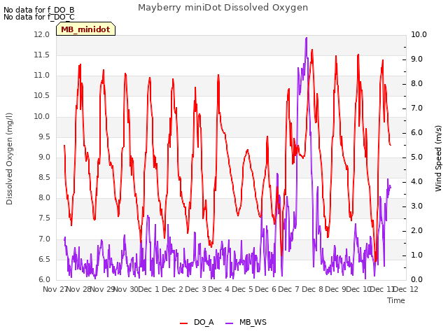 plot of Mayberry miniDot Dissolved Oxygen