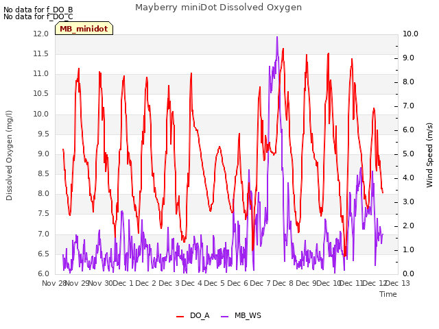 plot of Mayberry miniDot Dissolved Oxygen