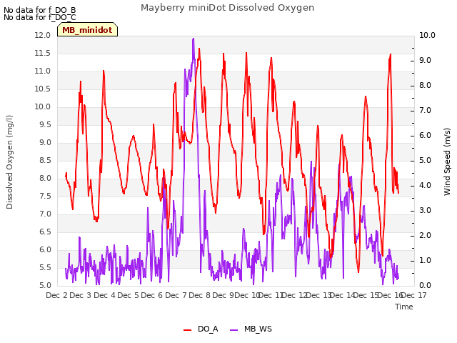 plot of Mayberry miniDot Dissolved Oxygen