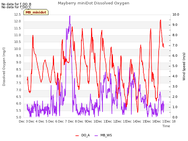 plot of Mayberry miniDot Dissolved Oxygen