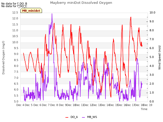 plot of Mayberry miniDot Dissolved Oxygen