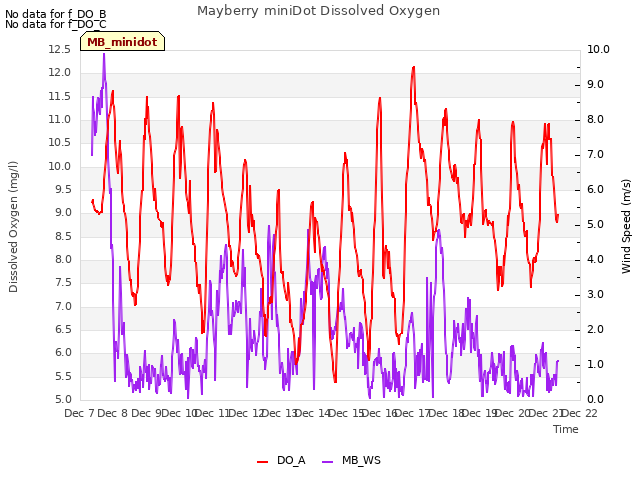 plot of Mayberry miniDot Dissolved Oxygen