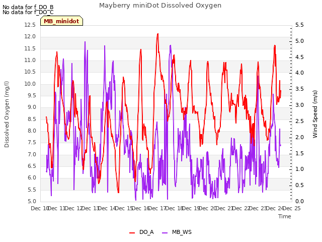 plot of Mayberry miniDot Dissolved Oxygen