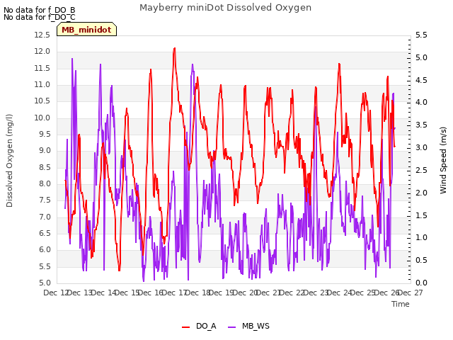 plot of Mayberry miniDot Dissolved Oxygen