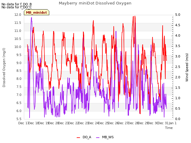 plot of Mayberry miniDot Dissolved Oxygen