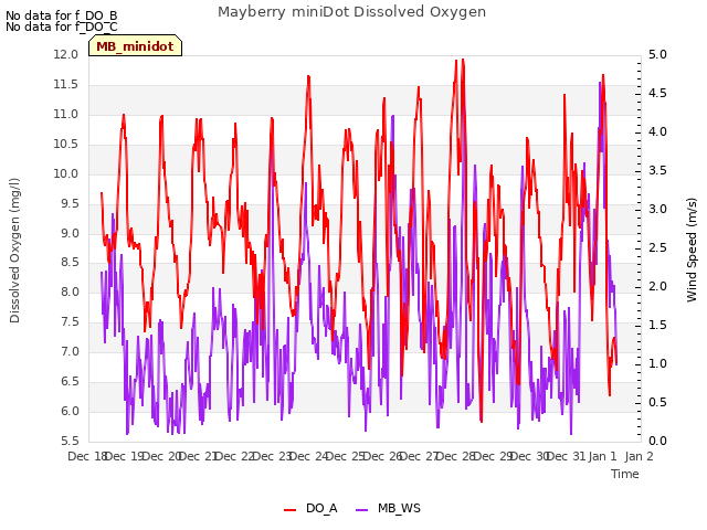 plot of Mayberry miniDot Dissolved Oxygen