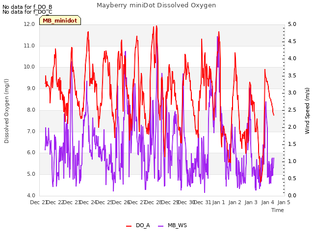 plot of Mayberry miniDot Dissolved Oxygen