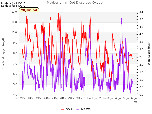 plot of Mayberry miniDot Dissolved Oxygen