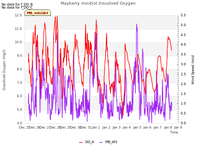 plot of Mayberry miniDot Dissolved Oxygen