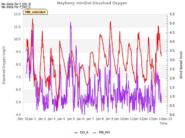 plot of Mayberry miniDot Dissolved Oxygen