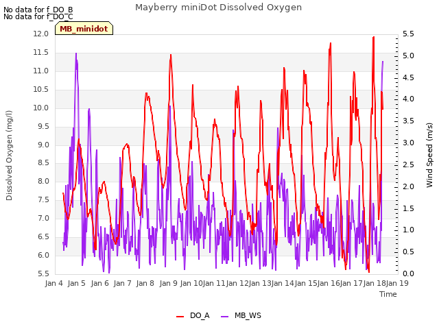 plot of Mayberry miniDot Dissolved Oxygen