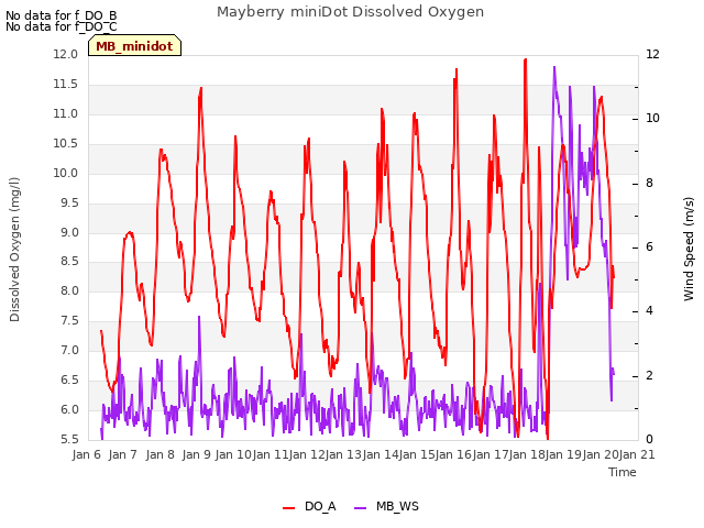 plot of Mayberry miniDot Dissolved Oxygen