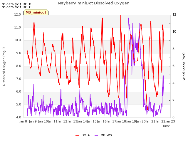 plot of Mayberry miniDot Dissolved Oxygen