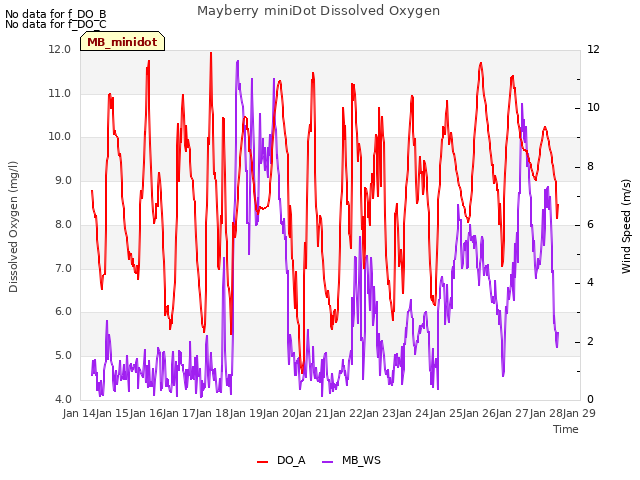 plot of Mayberry miniDot Dissolved Oxygen