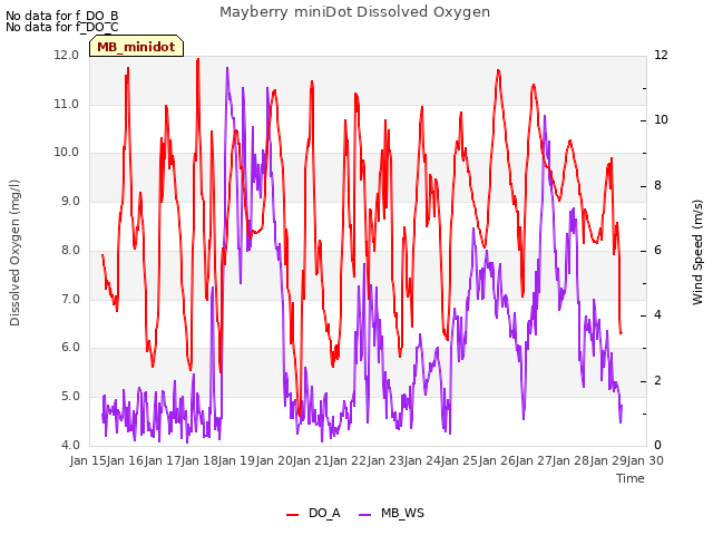 plot of Mayberry miniDot Dissolved Oxygen