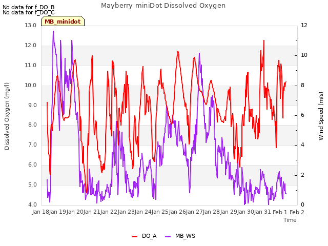 plot of Mayberry miniDot Dissolved Oxygen