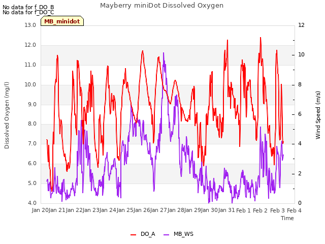 plot of Mayberry miniDot Dissolved Oxygen