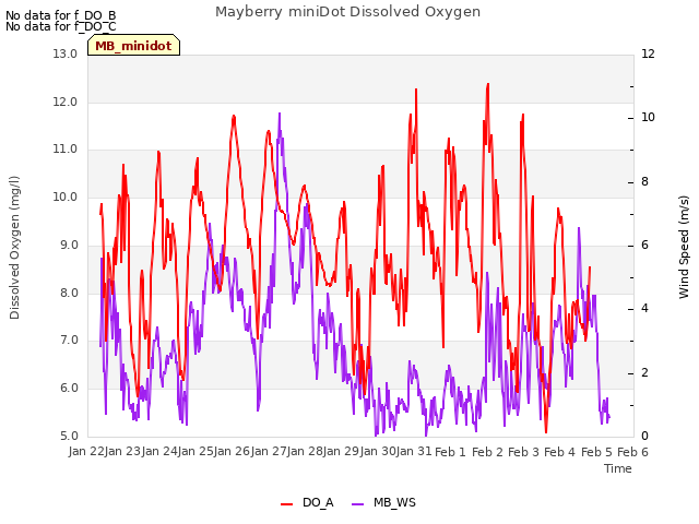 plot of Mayberry miniDot Dissolved Oxygen