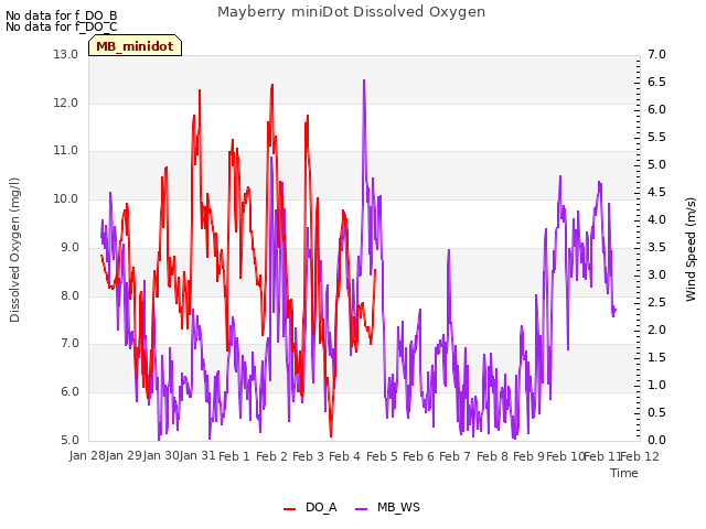 plot of Mayberry miniDot Dissolved Oxygen