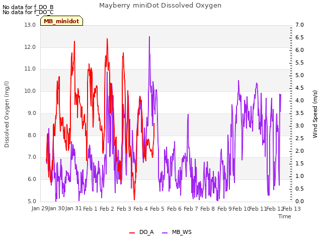 plot of Mayberry miniDot Dissolved Oxygen