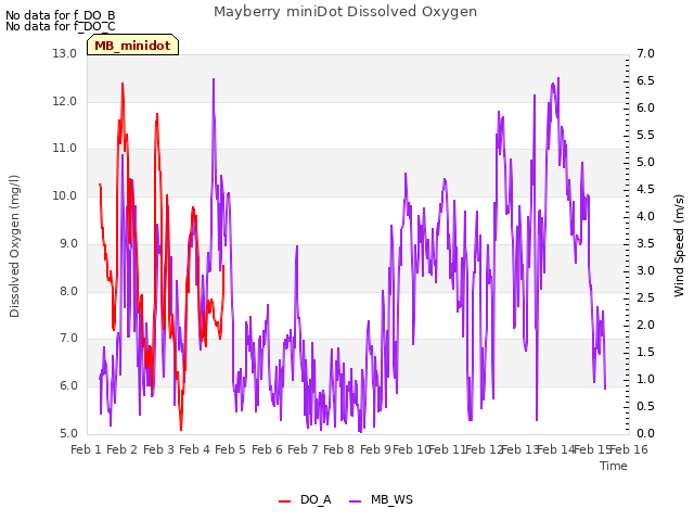 plot of Mayberry miniDot Dissolved Oxygen