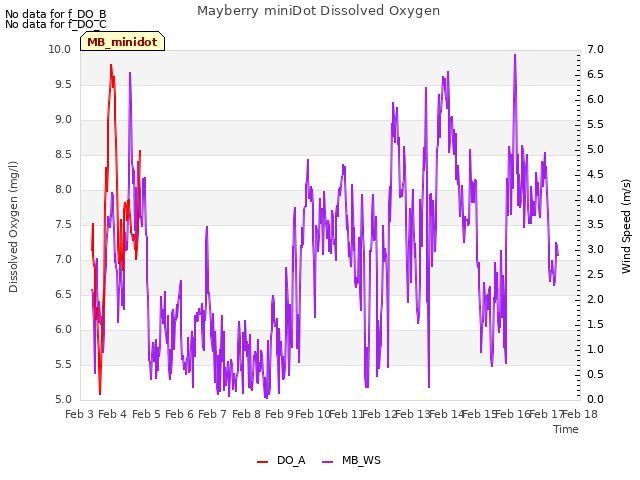 plot of Mayberry miniDot Dissolved Oxygen