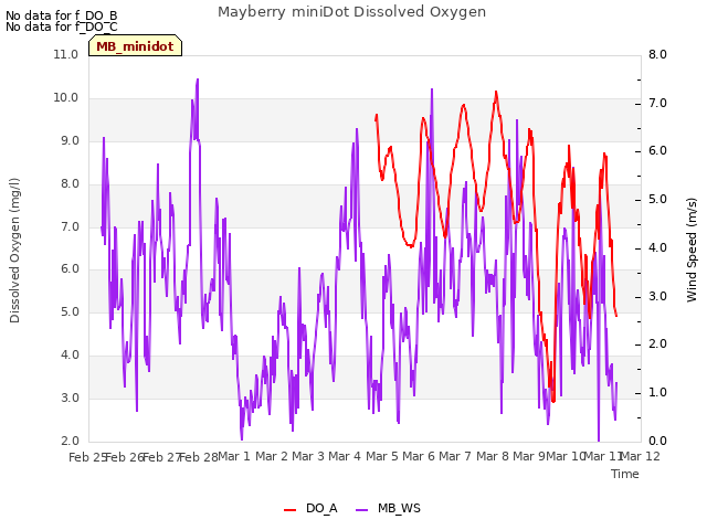 plot of Mayberry miniDot Dissolved Oxygen