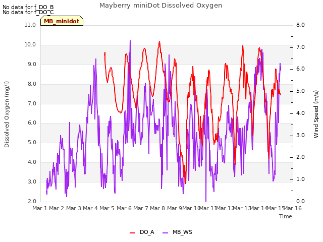 plot of Mayberry miniDot Dissolved Oxygen