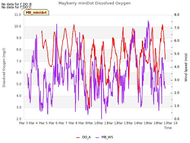 plot of Mayberry miniDot Dissolved Oxygen