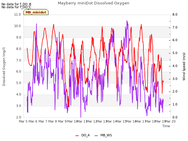 plot of Mayberry miniDot Dissolved Oxygen