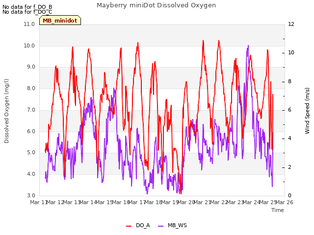 plot of Mayberry miniDot Dissolved Oxygen