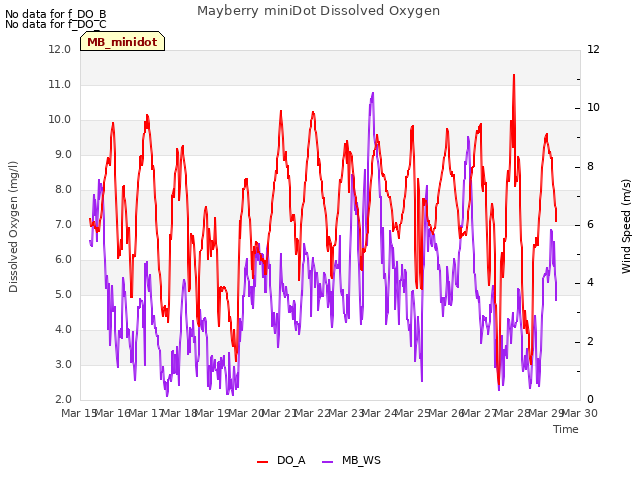 plot of Mayberry miniDot Dissolved Oxygen