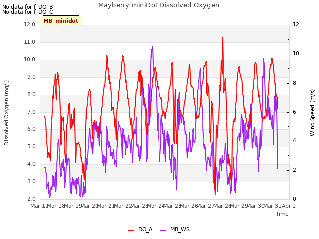 plot of Mayberry miniDot Dissolved Oxygen