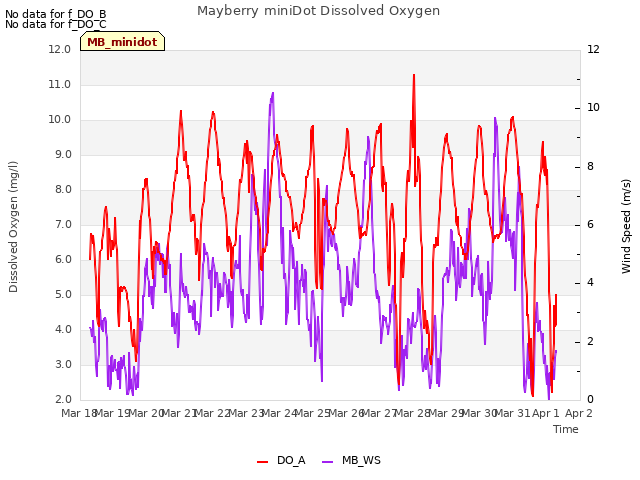 plot of Mayberry miniDot Dissolved Oxygen