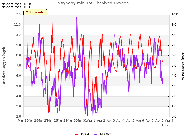 plot of Mayberry miniDot Dissolved Oxygen