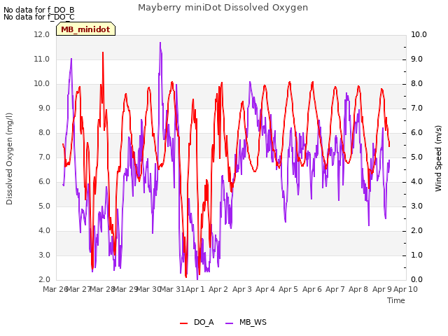 plot of Mayberry miniDot Dissolved Oxygen