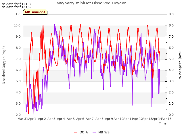 plot of Mayberry miniDot Dissolved Oxygen