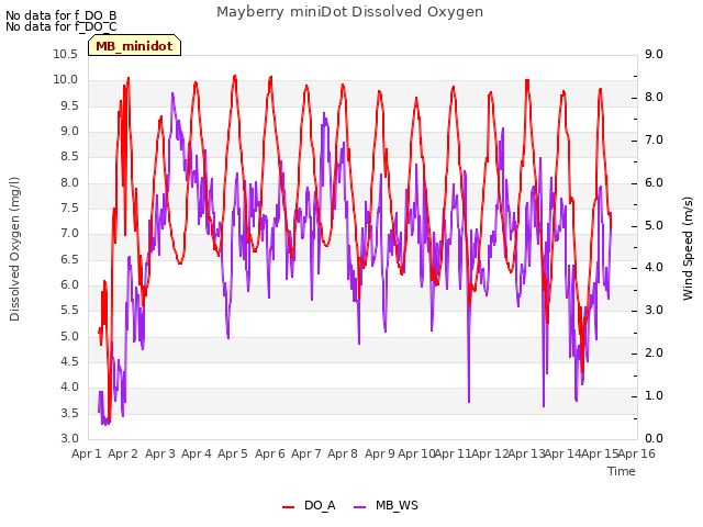 plot of Mayberry miniDot Dissolved Oxygen