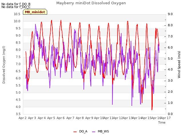 plot of Mayberry miniDot Dissolved Oxygen