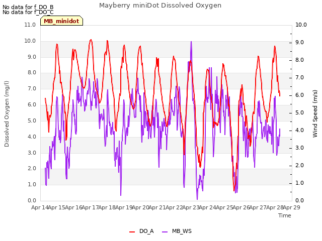 plot of Mayberry miniDot Dissolved Oxygen