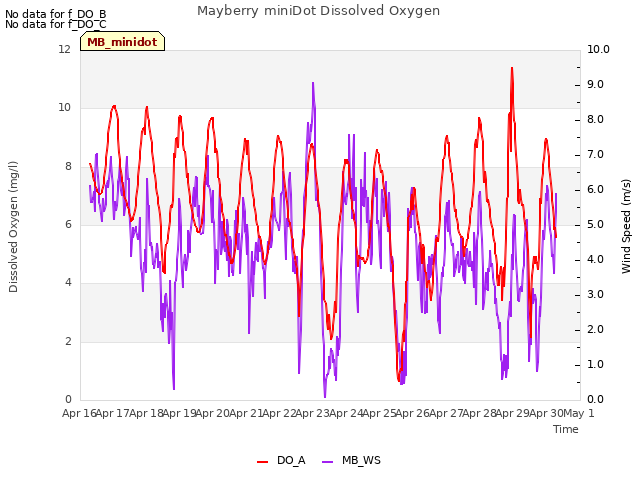 plot of Mayberry miniDot Dissolved Oxygen