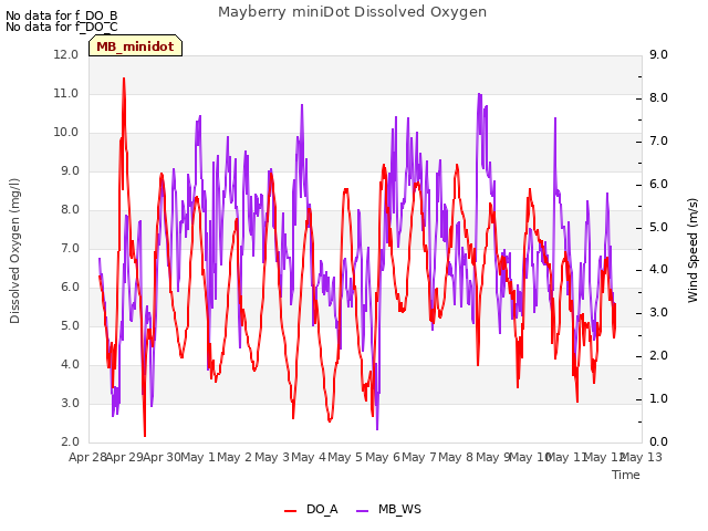 plot of Mayberry miniDot Dissolved Oxygen