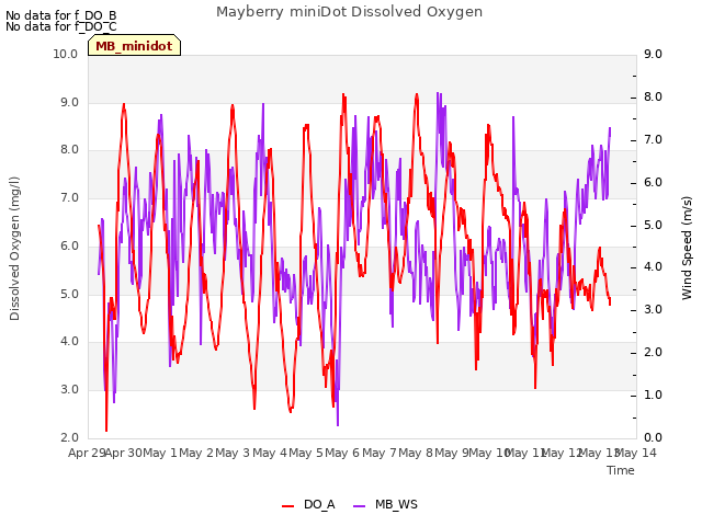 plot of Mayberry miniDot Dissolved Oxygen