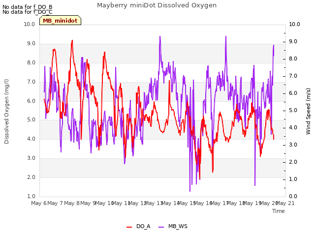 plot of Mayberry miniDot Dissolved Oxygen