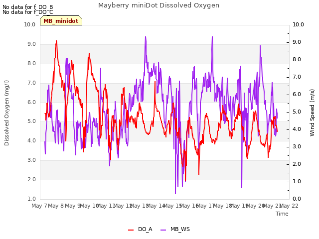 plot of Mayberry miniDot Dissolved Oxygen