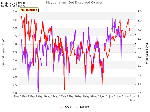 plot of Mayberry miniDot Dissolved Oxygen