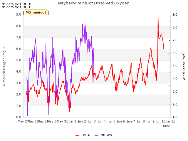 plot of Mayberry miniDot Dissolved Oxygen