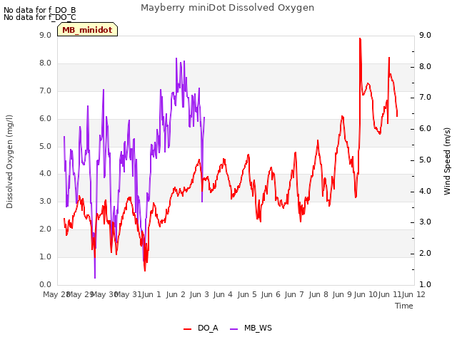 plot of Mayberry miniDot Dissolved Oxygen