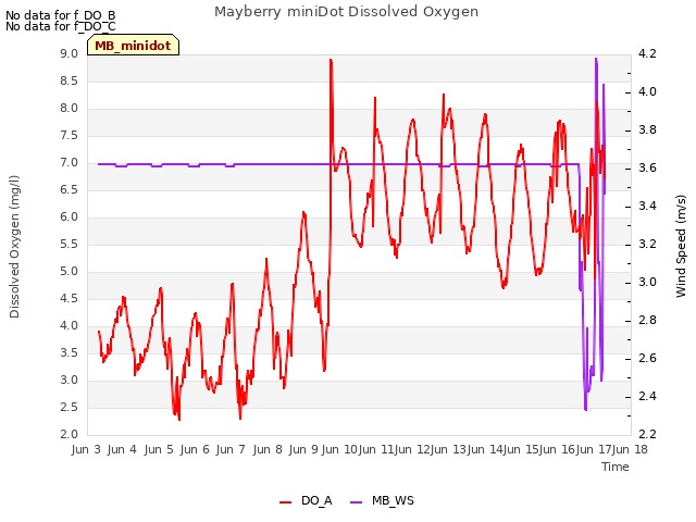 plot of Mayberry miniDot Dissolved Oxygen