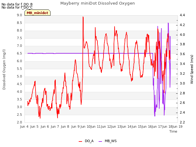 plot of Mayberry miniDot Dissolved Oxygen